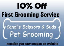 $5 Off, Dog Grooming in Lake Hopatcong, New Jersey