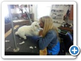 (null)_12