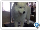 (null)_13